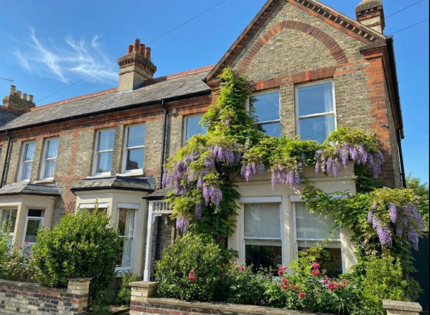 A traditional Cambridge terraced house with brick detailing and purple wisteria covering the front